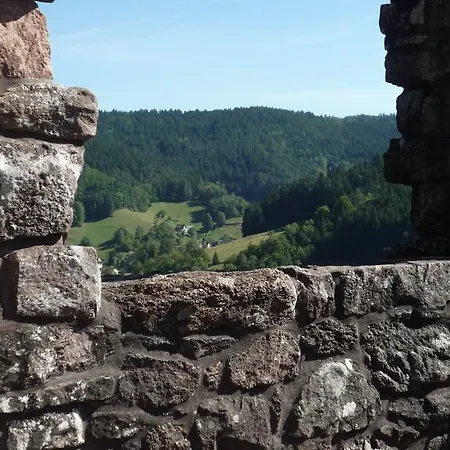 Apartment Tischneck Schramberg
